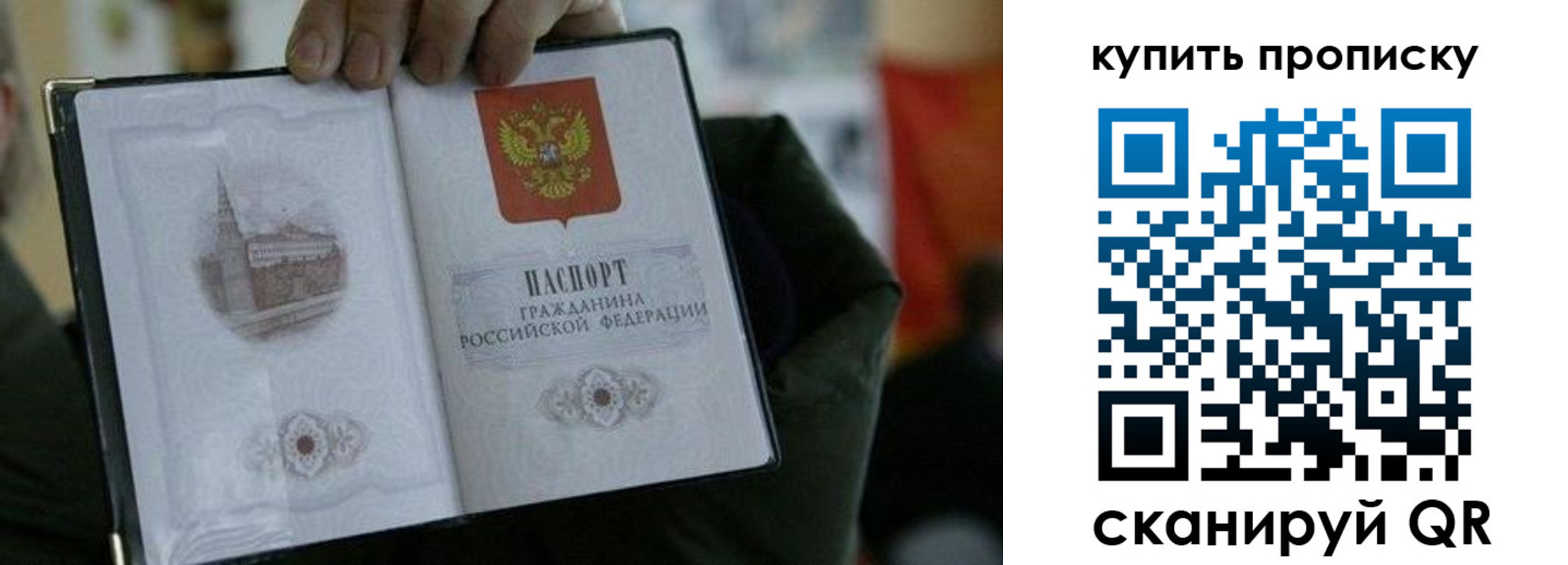 временная регистрация поиск в Калужской области